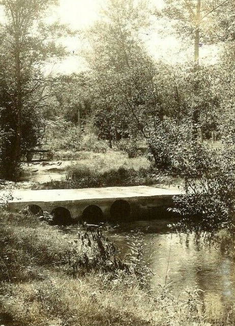 Dinosaur Gardens - Old Post Card View